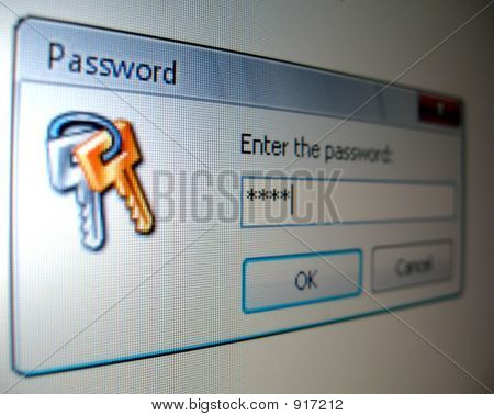 Password Window