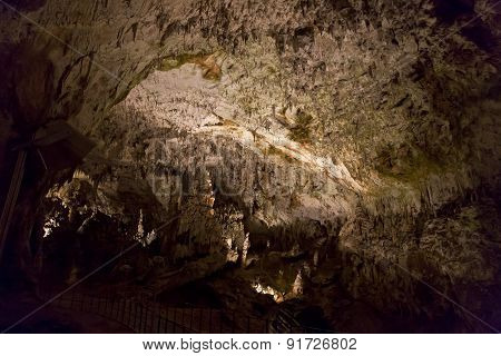 Postojna Cave