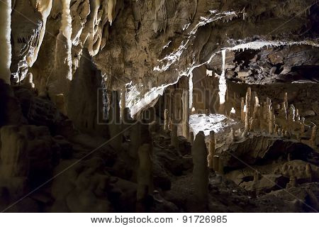 Postojna Cave
