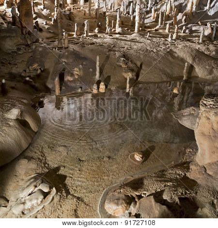 Postojna Cave