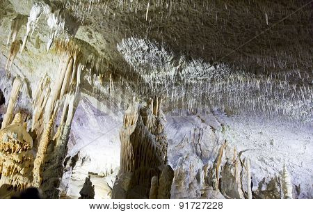 Postojna Cave