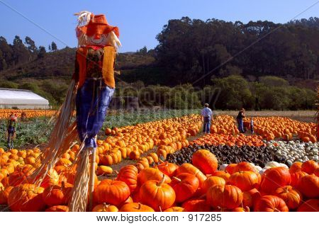 Halloween Scarecrow