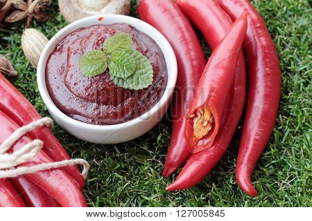 Korean red pepper gochujang for cooking on the grass
** Note: Soft Focus at 100%, best at smaller sizes
