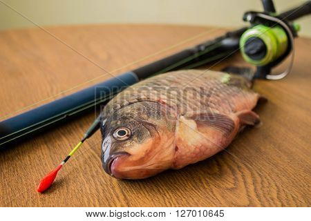 carp with fishing tackle on the wooden background