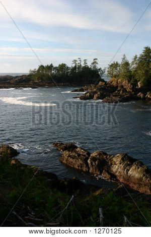 Vancouver Island Shore 3