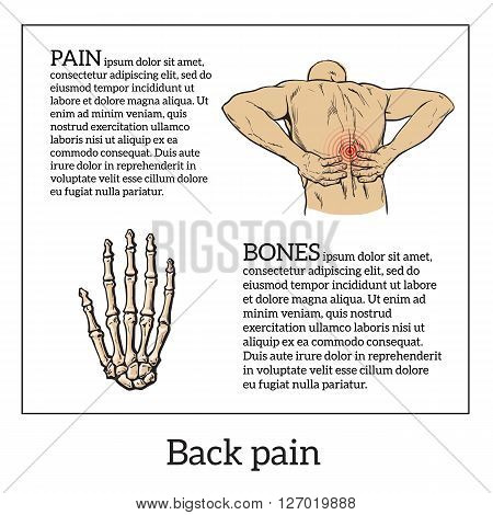 Lumbar pain in a man back pain in a human vector outline sketch, color illustration with concept of disease back, violation of waist, lumbar vertebrae and intervertebral discs