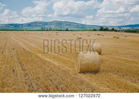 Dry rural field with hay stacks