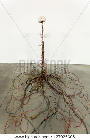 Cracow Poland - April 21 2016: Cracow - Mocak Museum Of Contemporary Art. New Exhibition - Medicine 
