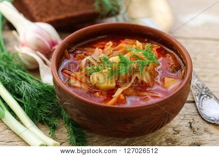 Borsch. Traditional Ukrainian vegetable soup made from beets, carrots,  tomatoes, potatoes, cabbage, greens and garlic