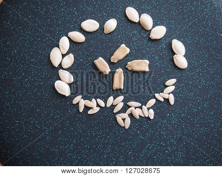seeds of three types of vegetable cultures against a dark background