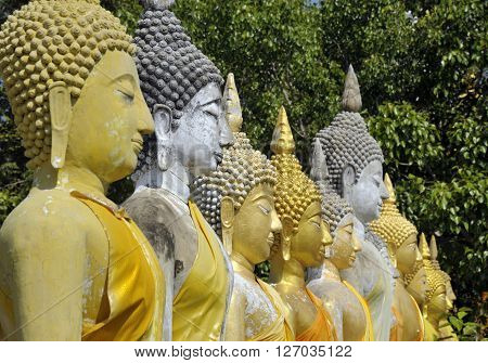 Buddha