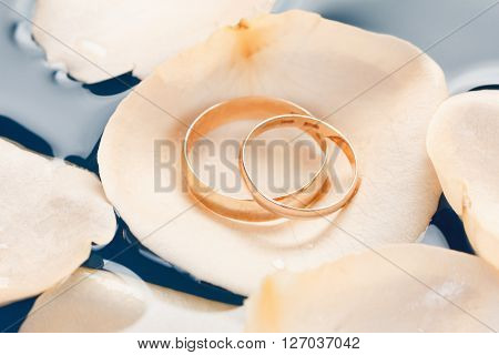 Wedding rings on the rose petals floating in water macro