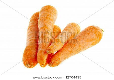 Carota