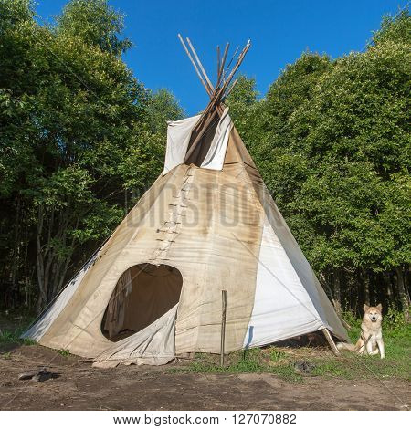 A single, solitary teepee in a forest. Tepees were traditional housing for Native Americans in Great Plains and other Western states.