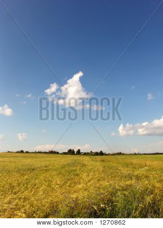 Visão de campo 2
