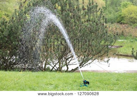 image of one sprinkler in japan garden