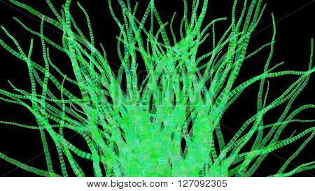 3D illustration of abstract colored stems odject