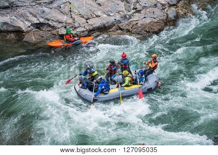 Grey Raft Team