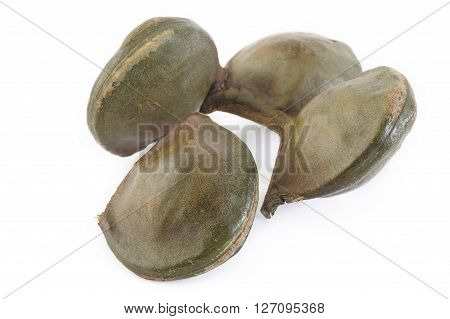 Djenkol bean seed vegetable on white background