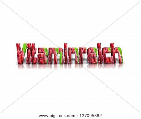 Vitaminreich - 3d word with reflection !