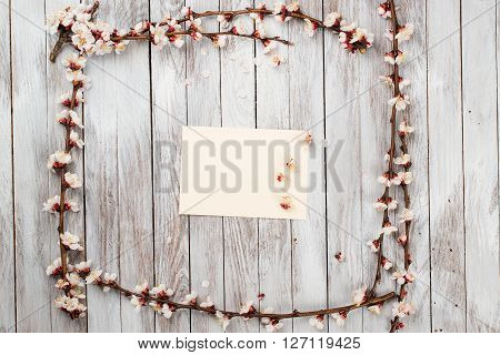 Spring Blossom over wood background. Spring Flowers on wooden background