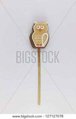 cookies in owl Worm on a wooden stick , shot on a white background . One subject in the frame. cartoon owl.