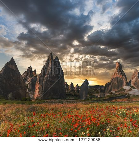Rock formations and red flowers of Cappadocia in Central Anatolia Turkey