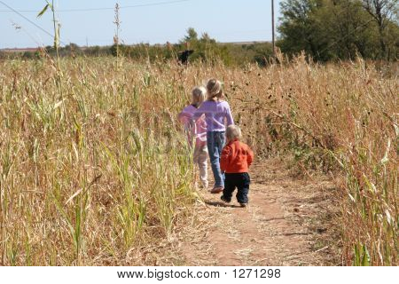 Kinder durch ein Feld