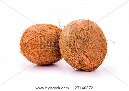 Coconut isolated on white Background, raw food