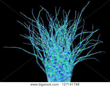 3D illustration of abstract colored stems odject