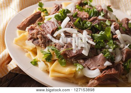 Beshbarmak - Homemade Noodles With Lamb And Onion Macro. Horizontal