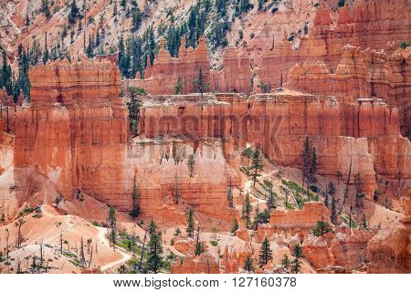 Bryce Canyon National Park, Utah, Usa