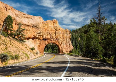 Dixie National Forest - Red Canyon, Utah