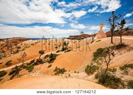 Bryce Canyon National Park, Utah, Usa
