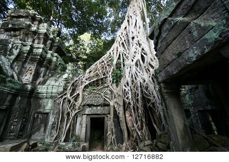 Angkor Wat Camobodia