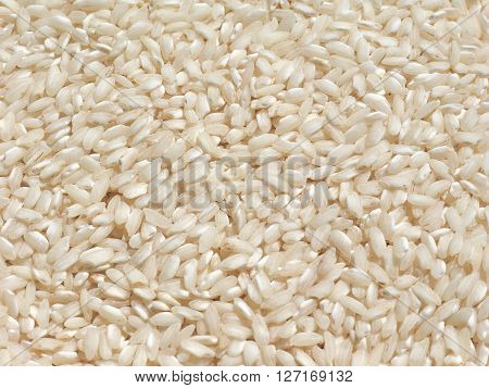 Carnaroli Rice Food