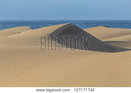 Maspalomas Sand Dunes During Sunrise - Maspalomas Gran Canaria Canary Islands Spain