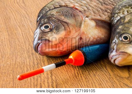 carp with fishing tackle on the wooden background