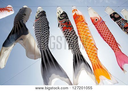 Japanese carp kite streamer decoration on against blue sky