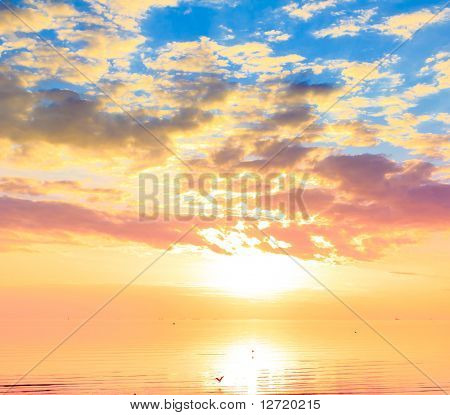 Cast d'oro dal cielo