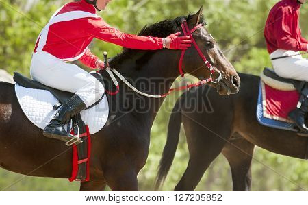 jokeys on a racing horses before the start