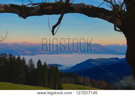 Hoher Hirschberg, Switzerland, December 29, 2015: View into the with a sea of fog filled Rhine Valley and the Austrian Mountains in sunset light in the background.