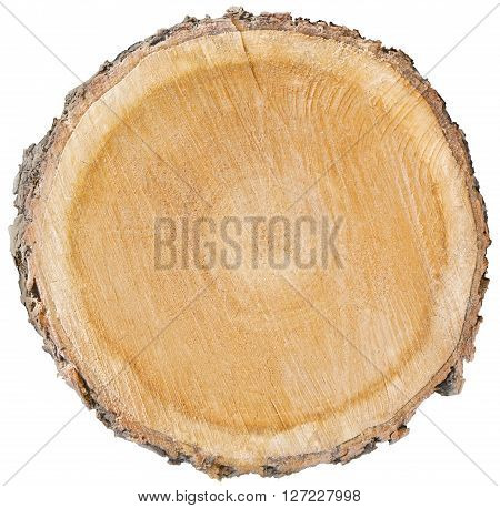 wood cut cross section showing age of organic tree