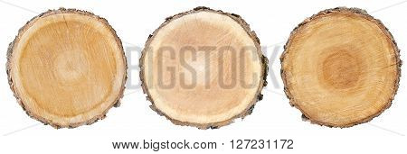 three pieces of cut wood with rings texture organic