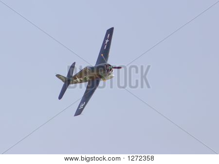 F6F5 cadı