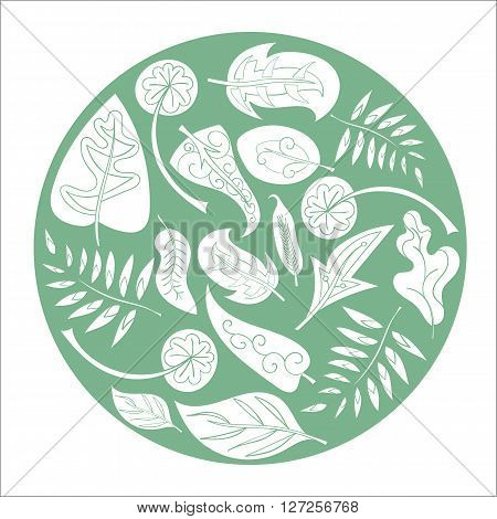 Green nature circle design element background vector illustration
