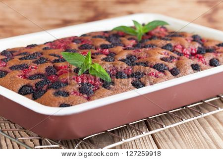 Gingerbread cake with mulberries and red currants. Shallow dof