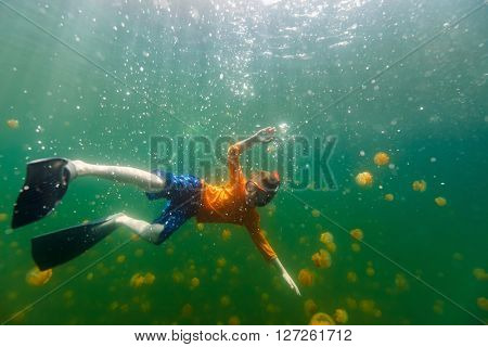 Underwater photo of tourist child snorkeling with endemic stingless jellyfish in lake at Palau. Snorkeling in Jellyfish Lake is a popular activity for tourists to Palau.