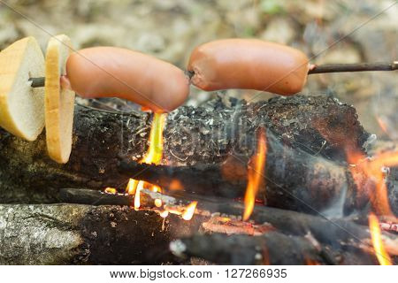sausage on a skewer roasting on the fire
