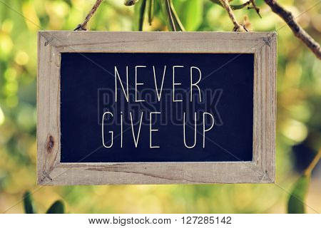 closeup of a wooden-framed chalkboard with the text never give up hanging on the branch of a tree